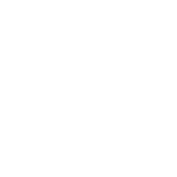 idn slot